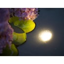 Arr&ecirc;t produit par ubbink  Spot bassin de jardin Aqualight 30 LED Ubbink