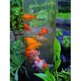 Fishtower 50, tour à poisson Ubbink pour observer les poissons du bassin de jardin