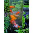 Fishtower 50 Une d&eacute;coration pour bassin de jardin permettant d'observer les poissons qui s'y trouve sous un tout nouvel angle