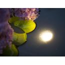 MultiBright Ubbink 20 LED &eacute;clairage de bassin