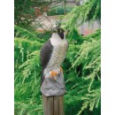 Faucon en plastique. 40 cm de haut. effaroucheur &eacute;loigner rongeurs et pigeons