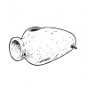 Amphore seule Ubbink