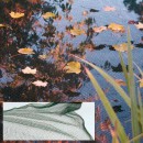 Filet de protection de bassin  3 x 2 m Ubbink