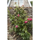 Croisillons extensibles Bambou Nature 45 x 180 cm