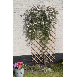 Lot de 5 Treillis extensible en bois naturel FSC 50 x 150 cm marque Nature