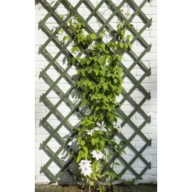 Lot de 5 treillis extensible en bois vert 100 x 200 cm marque Nature