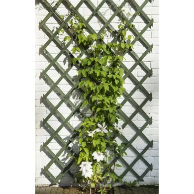 Treillis extensible en bois vert 50 x 150 cm marque Nature