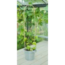 15 tuteurs naturels arceau hauteur 120 cm diam 12 &agrave; 14 mm