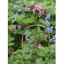 15 tuteurs naturels arceau hauteur 120 cm diam 12 &agrave; 14 mm