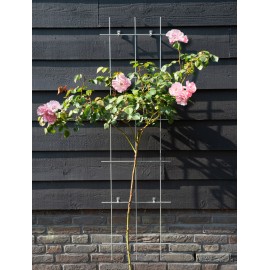 Lot de 5 Treillis métallique rectangulaire acier galvanisé avec set de fixation H145 x 42.5 cm
