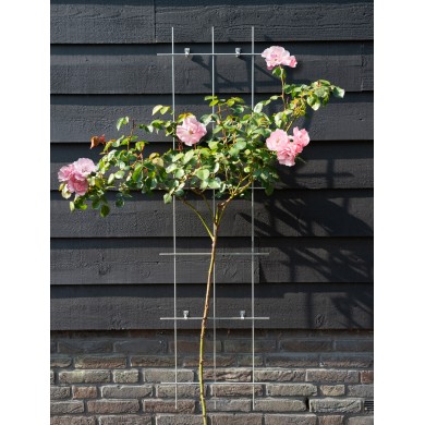 5 Treillis métallique rectangulaire en acier galvanisé avec set de fixation - H145 x 42.5 cm