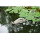 Gargouille Tortue Ubbink 21 cm 1386091 polyr&eacute;sine sans pompe arrivage 2022