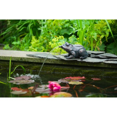 Gargouille Grenouille L Ubbink 23 cm 1386073 polyrésine sans pompe arrivage 2022
