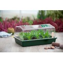 Mini serre de culture Nature terrine rigide, couvercle ventil&eacute; - H21 x 55 x 31 cm
