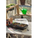 Mini serre de culture Nature terrine rigide, couvercle ventil&eacute; - H21 x 55 x 31 cm