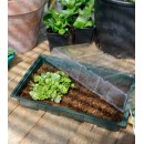 Mini-serre de culture - terrine souple, couvercle, tapis en coco - H11 x 35 x 23,5 cm