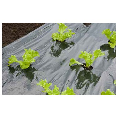 Film de paillage SALADE - LDPE/LLDPE noir, 20µ, trous découpés : 45xØ60 mm - 0,95 x 5 m
