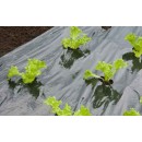 Film de paillage SALADE - LDPE/LLDPE noir, 20&micro;, trous d&eacute;coup&eacute;s : 45x&Oslash;60 mm - 0,95 x 5 m