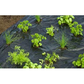 Film de paillage herbes aromatiques Nature noir 20 μ anti UV trous découpés 0.95 x 5 m