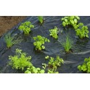 Film de paillage HERBES AROMATIQUES - LDPE/LLDPE noir, 20 &mu; anti UV, trous d&eacute;coup&eacute;s.