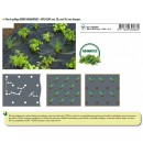 Film de paillage HERBES AROMATIQUES - LDPE/LLDPE noir, 20 &mu; anti UV, trous d&eacute;coup&eacute;s.