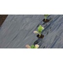 Film de paillage GROS LEGUMES - LDPE/LLDPE noir, 20&micro;, trous d&eacute;coup&eacute;s : 30x&Oslash;60 mm - 0,95 x 10 m