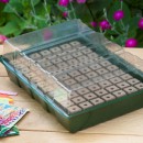 Mini-serre de culture hydroponique Nature terrine souple couvercle plateau mousse H11 x 35 x 23,5 cm