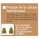 Mini-serre de culture hydroponique Nature terrine souple couvercle plateau mousse H11 x 35 x 23,5 cm