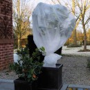Voile d'hivernage blanc 30 gr/m&sup2; marque Nature 2 x 5 m