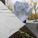 Voile d'hivernage 30 gr/m&sup2; marque Nature 2 x 10 m