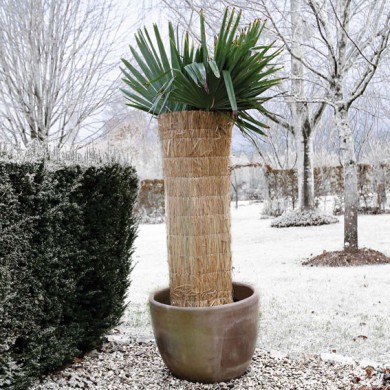 Paillon en paille de riz cousue de 1 x 1.5 m
