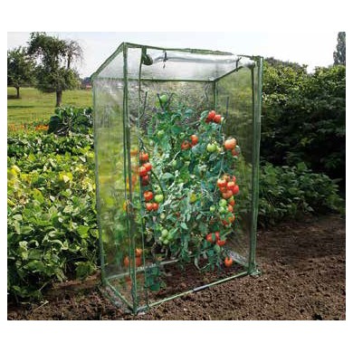 Serre à tomates h150 x 100 x 50 cm Nature