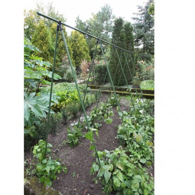 Tuteur en V inversé pour haricots, pois gourmand, Nature haut 1m50