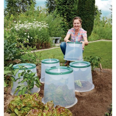 Kit 3 cloches pour le potager avec piquets Garantia Graf