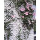 Treillis extensible en plastique blanc 50 x 150 cm marque Nature