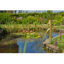 Cascade BAMBOO II Ubbink jeu d'eau cascade en bambou naturel