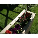 Jardini&egrave;re pour s&eacute;paration en bois de pin design 30 x 60 x hauteur 93 cm