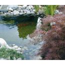 Filtre bassin Biopure 2000 immerg&eacute; Ubbink pour bassin jusqu'&agrave; 2000 litres pompe Elimax 100 sans UVC