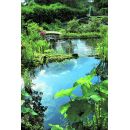 Bassin de jardin Ocean 2, 2000 litres Ubbink 225 x 265 cm profondeur 80 cm 4.97 m&sup2;