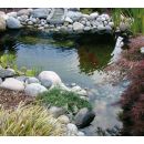 Bassin de jardin pr&eacute;form&eacute; Neptune Ubbink, 3800L 240 x 420 cm profondeur 100 cm 8.74 m&sup2;