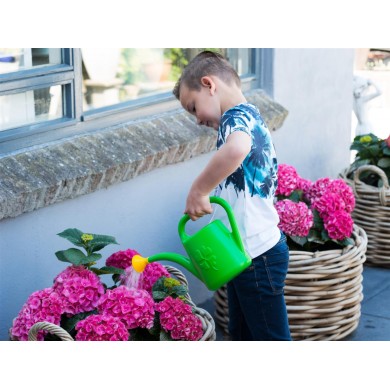 Arrosoir plastique avec pommeau Nature 2 litres