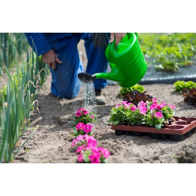 Arrosoir plastique avec pommeau Nature 10 litres