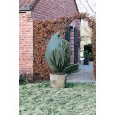 Housse d'hivernage incl. cordelette de serrage / zip de fermeture - PP, vert, 70 g/m&sup2; - &Oslash;200 cm x 2,50 m