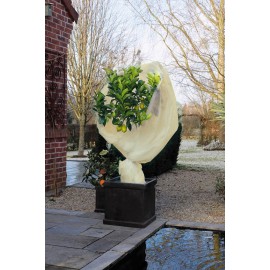 Voile d'hivernage beige 60 gr/m² marque Nature 2 x 5 m