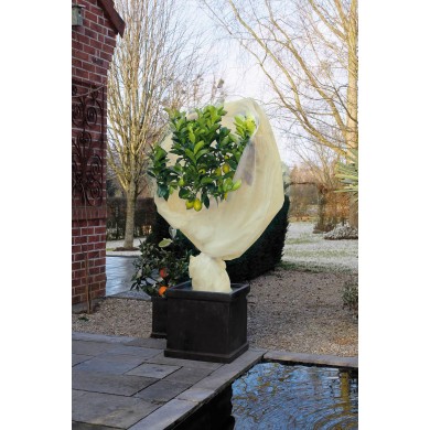 Voile d'hivernage beige 60 gr/m² marque Nature 2 x 5 m