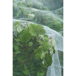 Filet de protection contre le ver de pomme et de la poire maille 3x6 mm, 60 g/m² 5,20 x 5 m Nature