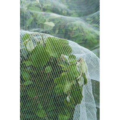 Filet de protection contre le ver de pomme et de la poire - HDPE, maille 3x6 mm, 60 g/m² - 5,20 x 5 m