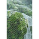Filet de protection contre le ver de pomme et de la poire - HDPE, maille 3x6 mm, 60 g/m&sup2; - 5,20 x 5 m
