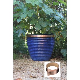Barrière contre la limace et l’escargot Nature largeur 30 mm longueur 24 mètres