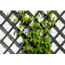 Treillis extensible en bois peint en noir FSC 50 x 150 cm marque Nature